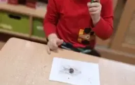 Galeria aktualności Cztery żywioły w grupie II 7