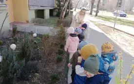 Galeria aktualności Maluszki powitały wiosnę. 14