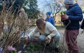 Galeria aktualności Wiosenne prace ogrodnicze w grupie IV. 6