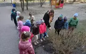 Galeria aktualności Wiosenne prace ogrodnicze w grupie IV. 7