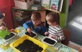 Galeria aktualności Ogr&oacute;dek na parapecie. 5