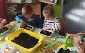 Galeria aktualności Ogr&oacute;dek na parapecie. 6