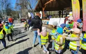 Galeria aktualności Niebieskie motyle. 32