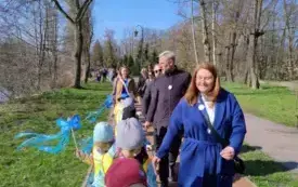 Galeria aktualności Niebieskie motyle. 44