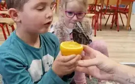 Galeria aktualności Magiczny świat motyli w naszym przedszkolu. 6