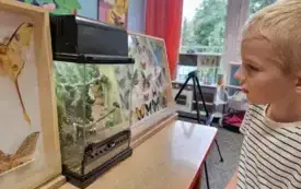 Galeria aktualności Magiczny świat motyli w naszym przedszkolu. 8