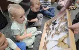 Galeria aktualności Magiczny świat motyli w naszym przedszkolu. 16