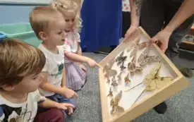 Galeria aktualności Magiczny świat motyli w naszym przedszkolu. 17