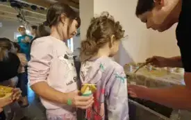 Galeria aktualności Wycieczka do pasieki. 16