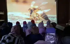 Galeria aktualności Wycieczka do pasieki. 26