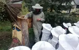 Galeria aktualności Wycieczka do pasieki. 30