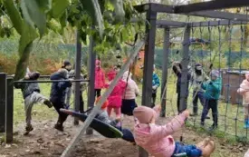 Galeria aktualności Wycieczka do pasieki. 32