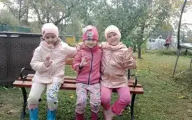 Galeria aktualności Wycieczka do pasieki. 35