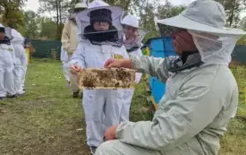 Galeria aktualności Wycieczka do pasieki. 38