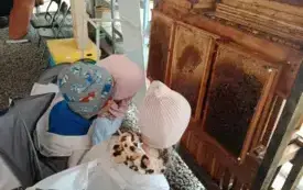 Galeria aktualności Wycieczka do pasieki. 47