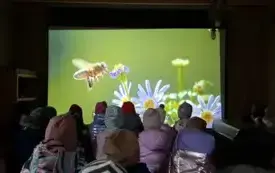 Galeria aktualności Wycieczka do pasieki. 50