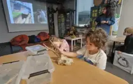 Galeria aktualności Wycieczka grup III i IV do muzeum etnograficznego i archeologicznego. 17