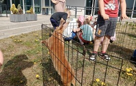Galeria aktualności Wizyta w hospicjum. 1