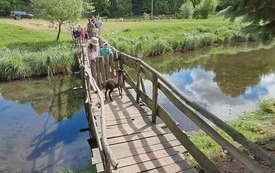 Galeria aktualności W Krainie Dzikiej Kaczki 6