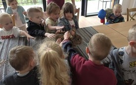 Galeria aktualności W Krainie Dzikiej Kaczki 18
