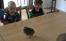 Galeria aktualności W Krainie Dzikiej Kaczki 23