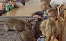 Galeria aktualności W Krainie Dzikiej Kaczki 26