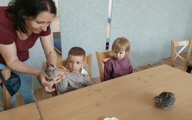 Galeria aktualności W Krainie Dzikiej Kaczki 53