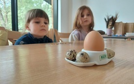 Galeria aktualności W Krainie Dzikiej Kaczki 56
