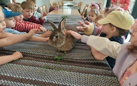 Galeria aktualności W Krainie Dzikiej Kaczki 57