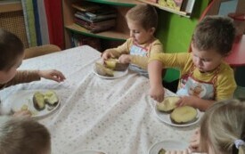 Galeria aktualności Dzień pieczonego ziemniaka w grupie II. 98 2