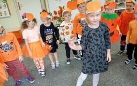 Galeria aktualności Dzień Dyni w grupie III. 105 18