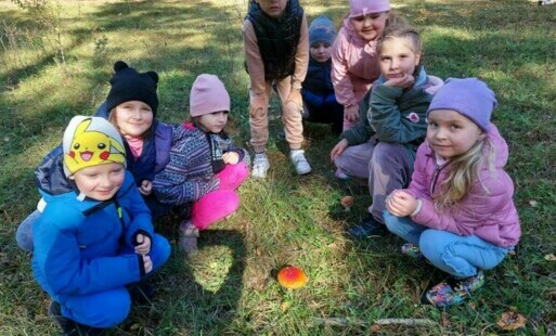 Zdjęcie do W jesiennym lesie.