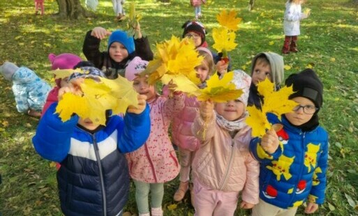 Zdjęcie do W koronach drzew.